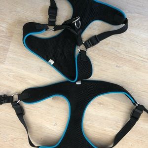 Dog harness M